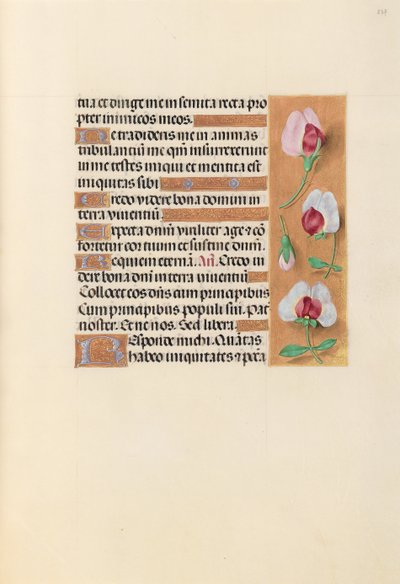Hours of Queen Isabella the Catholic, Queen of Spain: Fol. 237r by Master of the First Prayerbook of Maximillian