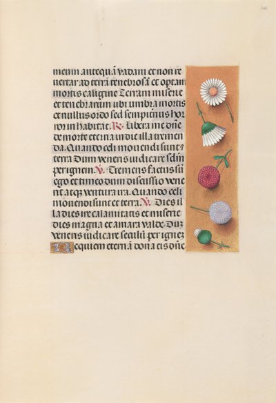 Hours of Queen Isabella the Catholic, Queen of Spain: Fol. 245r by Master of the First Prayerbook of Maximillian