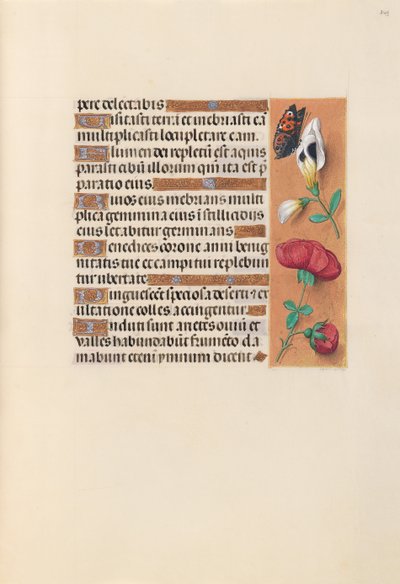Hours of Queen Isabella the Catholic, Queen of Spain: Fol. 249r by Master of the First Prayerbook of Maximillian