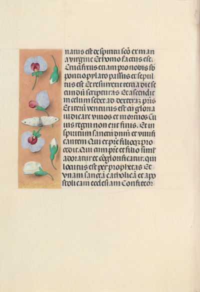 Hours of Queen Isabella the Catholic, Queen of Spain: Fol. 91v by Master of the First Prayerbook of Maximillian