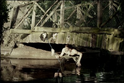 Catching Fairies 1 by Mat Collishaw