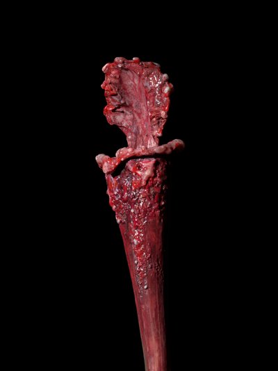The Venal Muse, Fenside, 2012 by Mat Collishaw