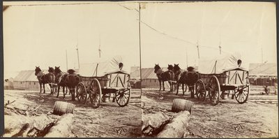 Army Wagon Going to Commissary Depot, City Point, for Supplies by Mathew B. Brady