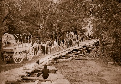 Grape Vine Bridge built by US engineers by Mathew B. Brady