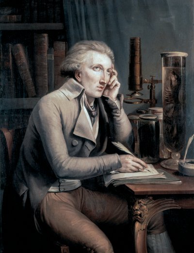 Portrait of Georges Leopold Cuvier by Mathieu Ignace van Bree