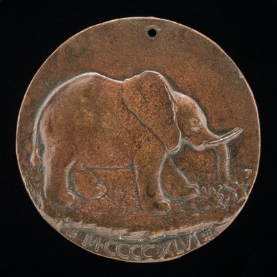 The Malatesta Elephant in a Meadow (reverse) by Matteo di Andrea de Pasti