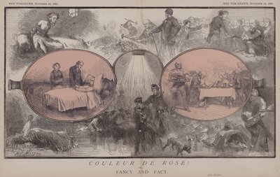 Couleur de Rose! or, Fancy and Fact by Matthew