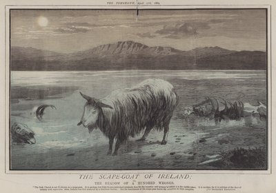 The Scape-Goat of Ireland; or, The Shadow of a Hundred Wrongs by Matthew