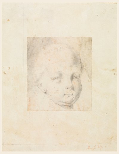 Study: Head of a Boy, 1810-34 by Mauro Gandolfi