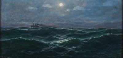 Steamer on the High Seas by Max Jensen