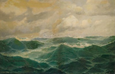 Seagulls Over Choppy Seas by Max Jensen