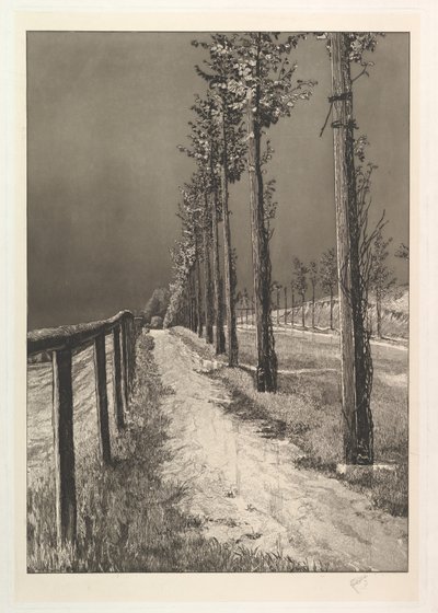 The Road, from the series Four Landscapes by Max Klinger