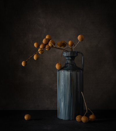 Longan Still Life by May G