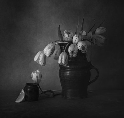 Moody Tulips Still Life by May G