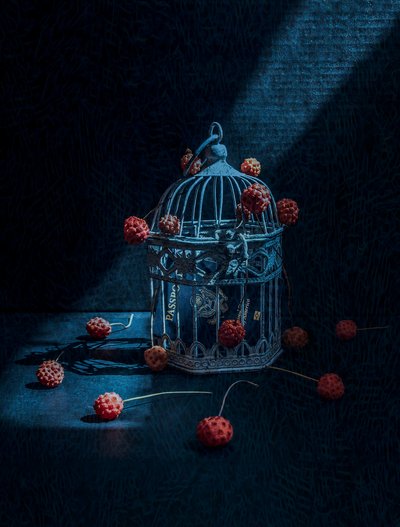 Mysterious Birdcage and Berries by May G