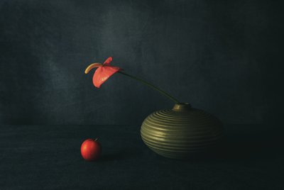 Red Anthurium Still Life by May G