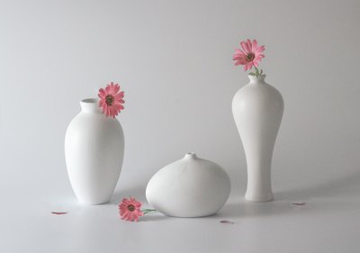 Serene Floral Vases by May G