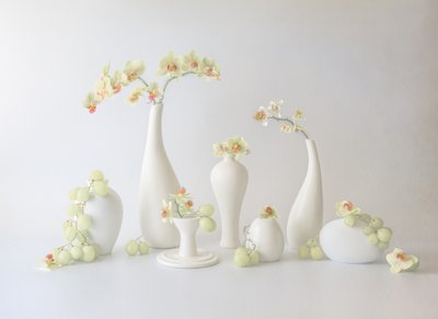 Serene Orchid Arrangement by May G