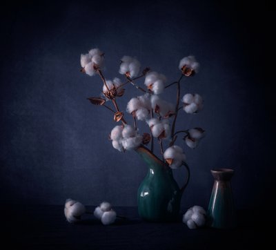 White Cotton Still Life by May G