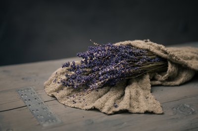 Dried Lavender Bundle by Mayra Pama