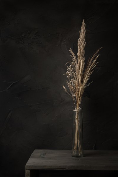 Moody Dried Grasses by Mayra Pama