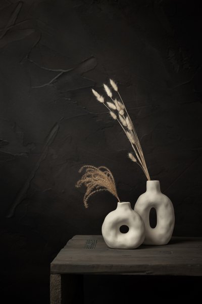 Organic Vases Dried Plants by Mayra Pama