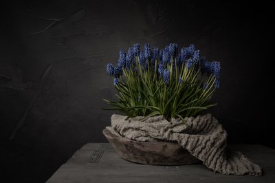 Rustic Blue Flowers by Mayra Pama