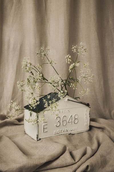 Rustic Botanical Display by Mayra Pama