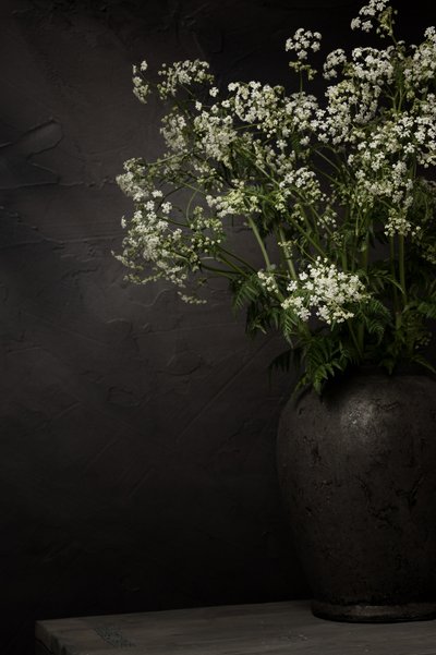 White Wildflower Still Life by Mayra Pama