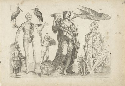 Study Sheet with Drawing Examples: Animals and Various Figures by Michael Snijders