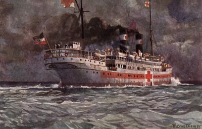 German hospital ship, World War I by Michael Zeno Diemer