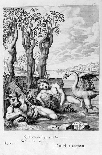 Cygnus transformed into a swan and Phaetons sisters into poplars, 1655 by Michel de Marolles