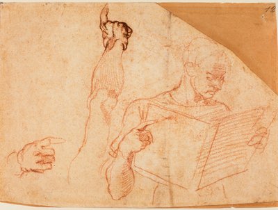 Figure study for the 