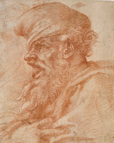 70 Michelangelo Drawings Stock Photos Pictures  RoyaltyFree Images   iStock