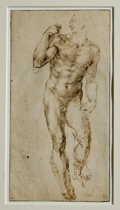 Male Nude, Front View, circa 1502-1506 by Michelangelo Buonarroti