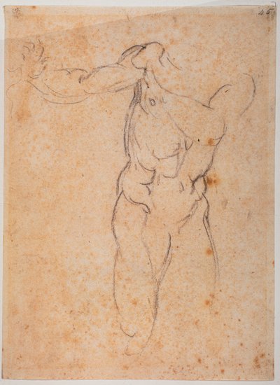 Study for the Adam of the 