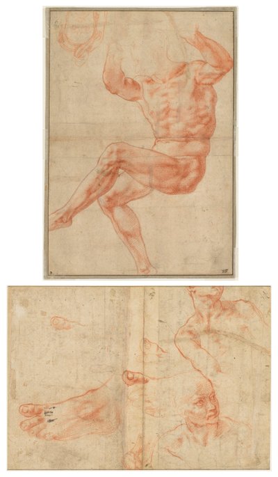 Study for the Nude Youth over the Prophet Daniel; Figure Studies for the Sistine Ceiling by Michelangelo Buonarroti