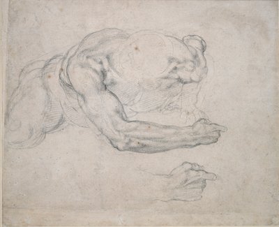 Study of a Man Rising from the Ground by Michelangelo Buonarroti