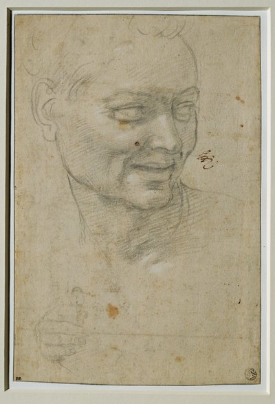 Head and Right Hand of the Ignudo Above and to the Left of Isaiah, Sistine Chapel Ceiling by Michelangelo Buonarroti