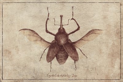 Vintage Style and Sepia Tones by Mike Koubou