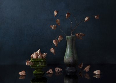 Dark Botanical Still Life by Ming Chen