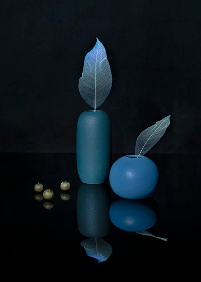 Elegant Blue Still Life by Ming Chen