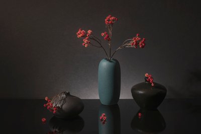 Elegant Red Berries Still Life by Ming Chen