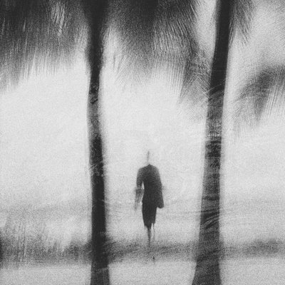 Dreamy Coastal Walk by Molly Fu APA