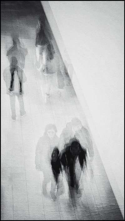 People in Motion by Molly Fu APA