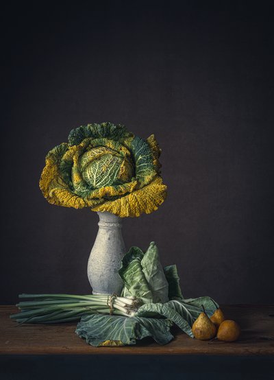 Rustic Cabbage Still Life by Monique van Velzen