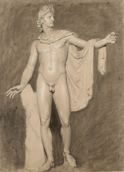 Cast of the Apollo Belvedere by Moseley Danforth