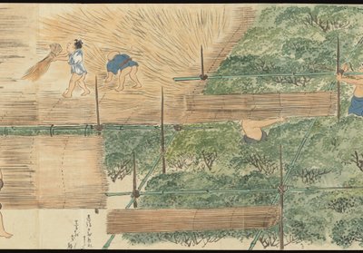 Illustrations of Uji Tea Production by Motonari Sait?