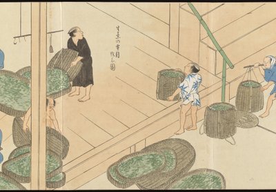Illustrations of Uji Tea Production by Motonari Sait?