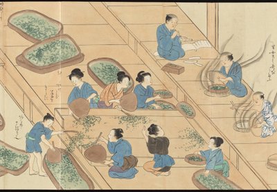 Illustrations of Uji Tea Production by Motonari Sait?